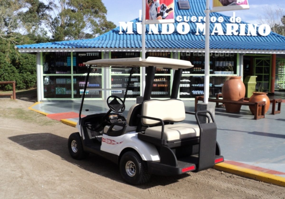 Carro Yamaha The Drive de 4 pasajeros en Mundo Marino