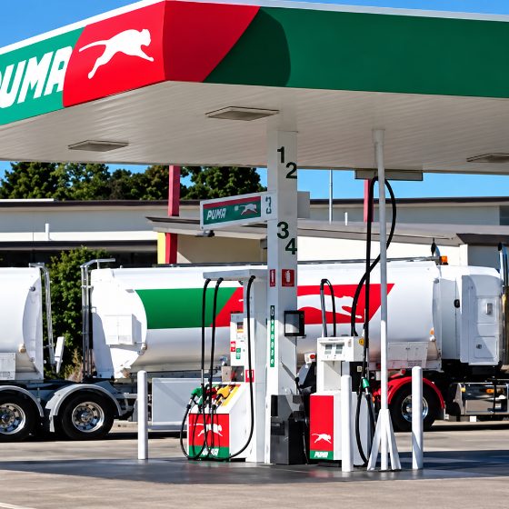 Combustibles