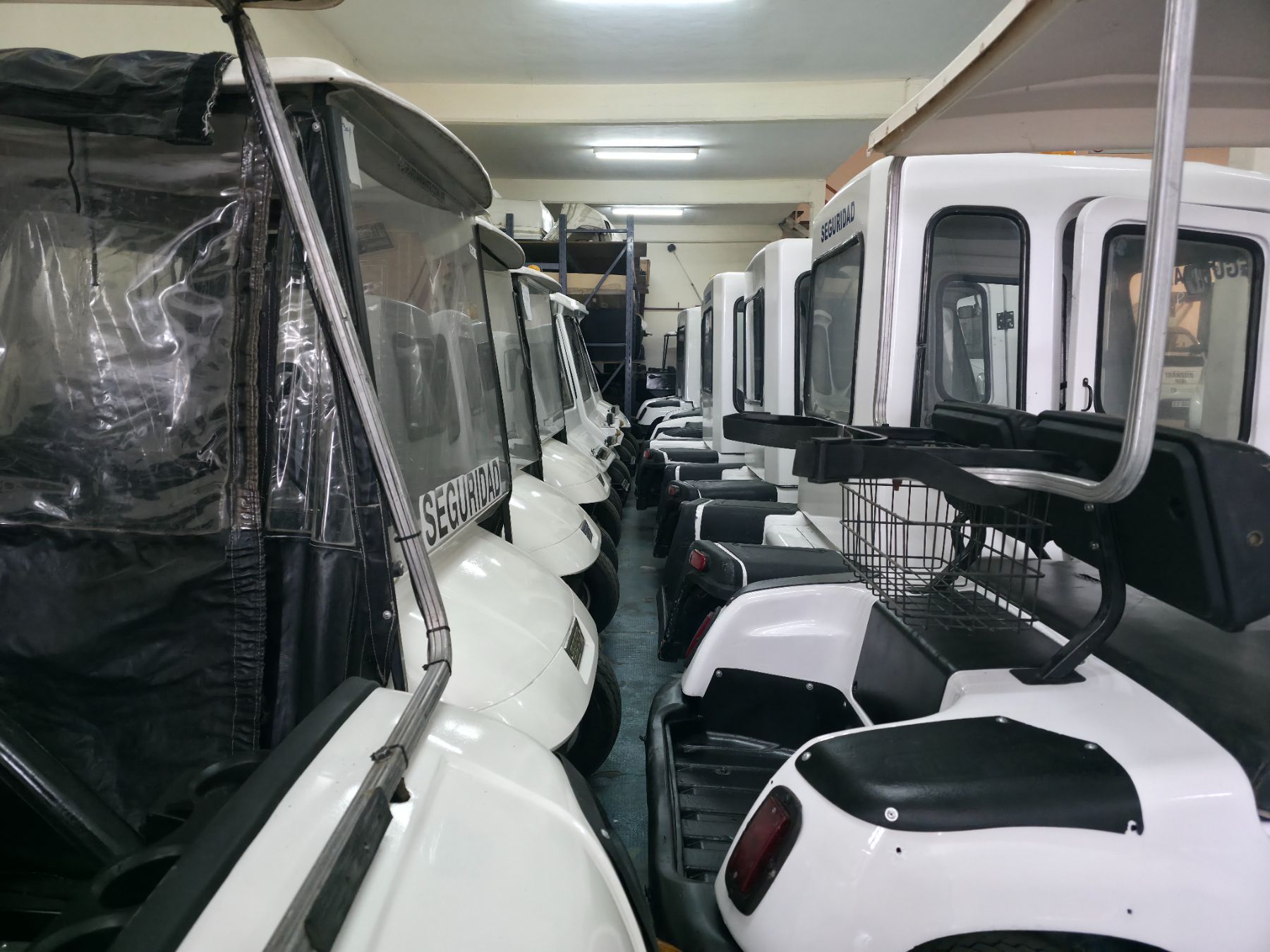 Flota de carros de golf en depósito