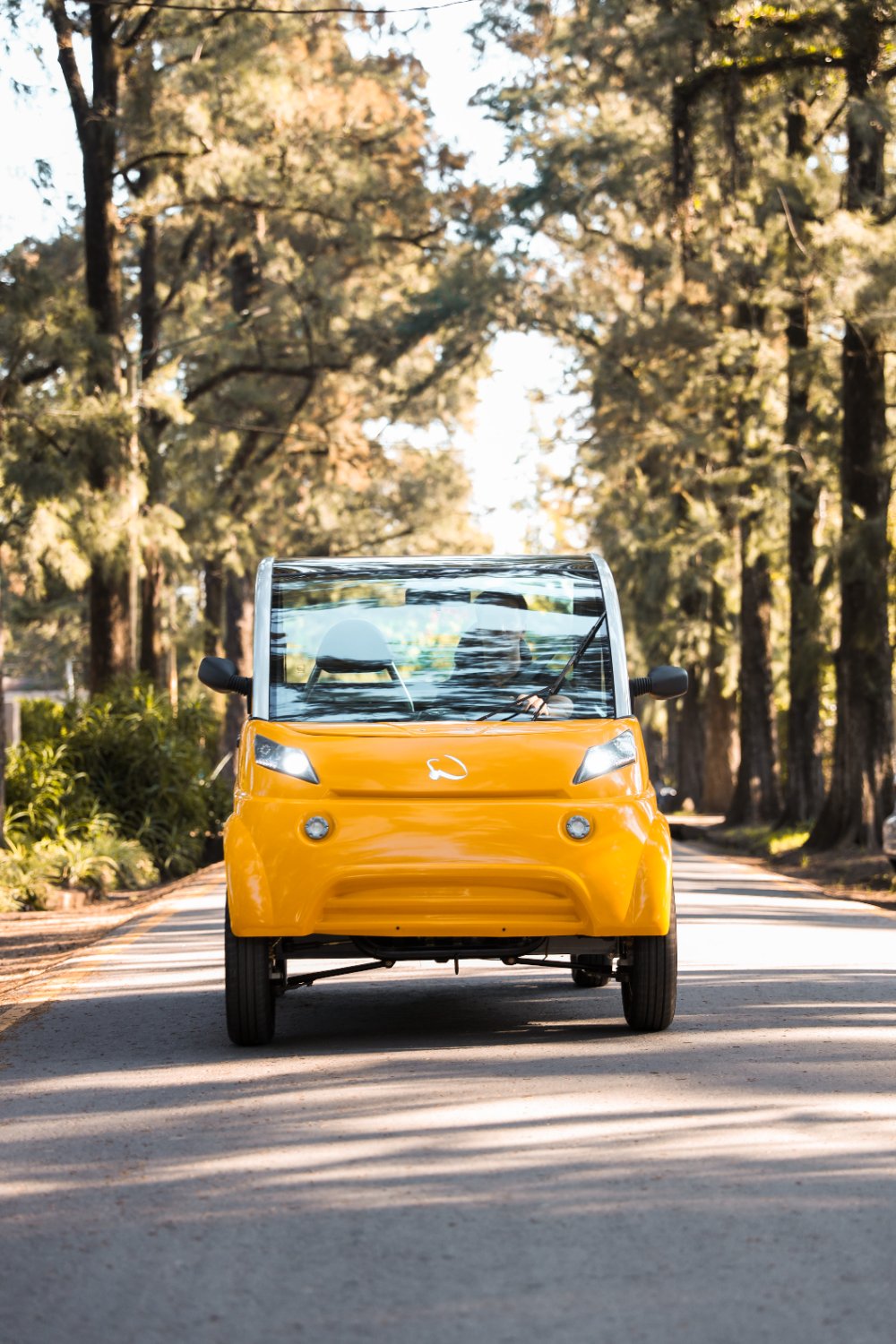 Sero Electric